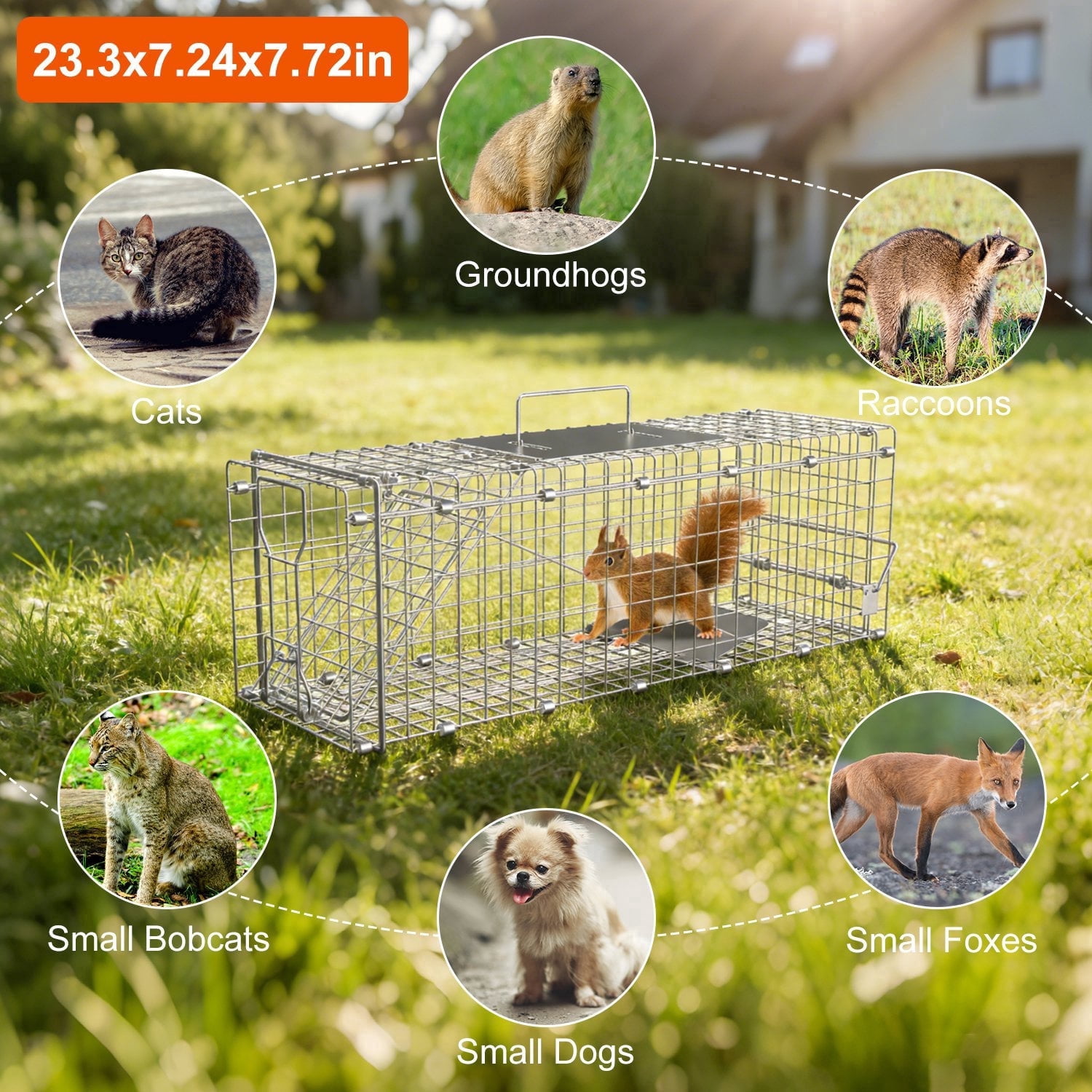 TeqHome 24" Humane Live Animal Trap Cage Catch and Release Heavy Duty Squirrel Trap Folding Raccoon Trap with Safe Carrying Handle for Squirrel Rabbits Raccoons Cats
