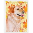 thumbnail image 1 of Carolines Treasures BB9975CHF Labrador Retriever Fall Flag - Canvas House Size, 1 of 4