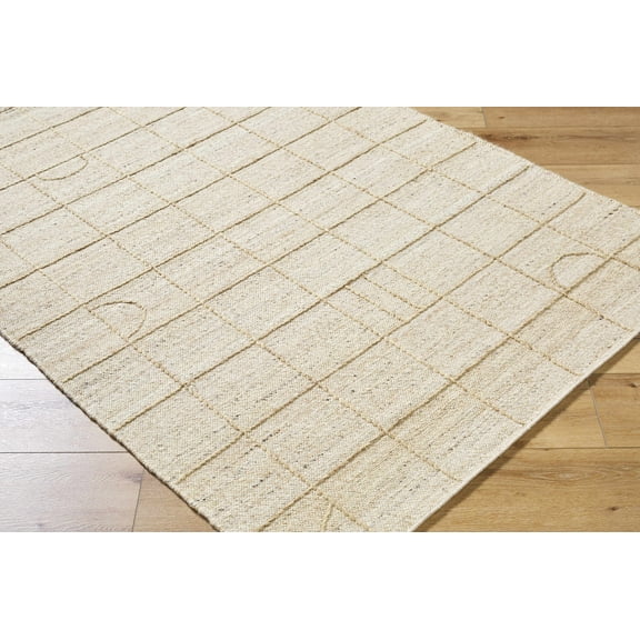 BoutiqueRugs Tieve Contemporary Area Rug - Champagne - 8' x 10'