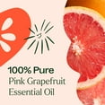 thumbnail image 6 of Plant Therapy Pink Grapefruit Essential Oil 30 mL (1 oz) 100% Pure, Undiluted, Natural Aromatherapy, 6 of 8