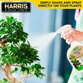 thumbnail image 4 of Harris Neem Oil Spray for Plants, Cold Pressed Ready to Use, 32oz, 4 of 4