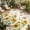 Yellow Green White, variant on Yellow Sunflower Outdoor Rug for Patio/Deck/Porch, Non-Slip Large Area Rug 3 x 5 Ft, Grey Plaid Country Bee Farmhouse Floral Indoor Outdoor Rugs Washable Area Rugs, Camping Rug Carpet Runner