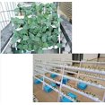 thumbnail image 2 of INTBUYING Hydroponic Grow Kit 54 Plant Sites Horizontal 6 Pipes Garden Vegetable Tool, 2 of 5