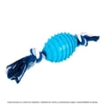 thumbnail image 1 of Juguet para Perro Pets & More de Plastico Varios Colores 1 pza, 1 of 4