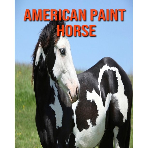 beautiful paint horses