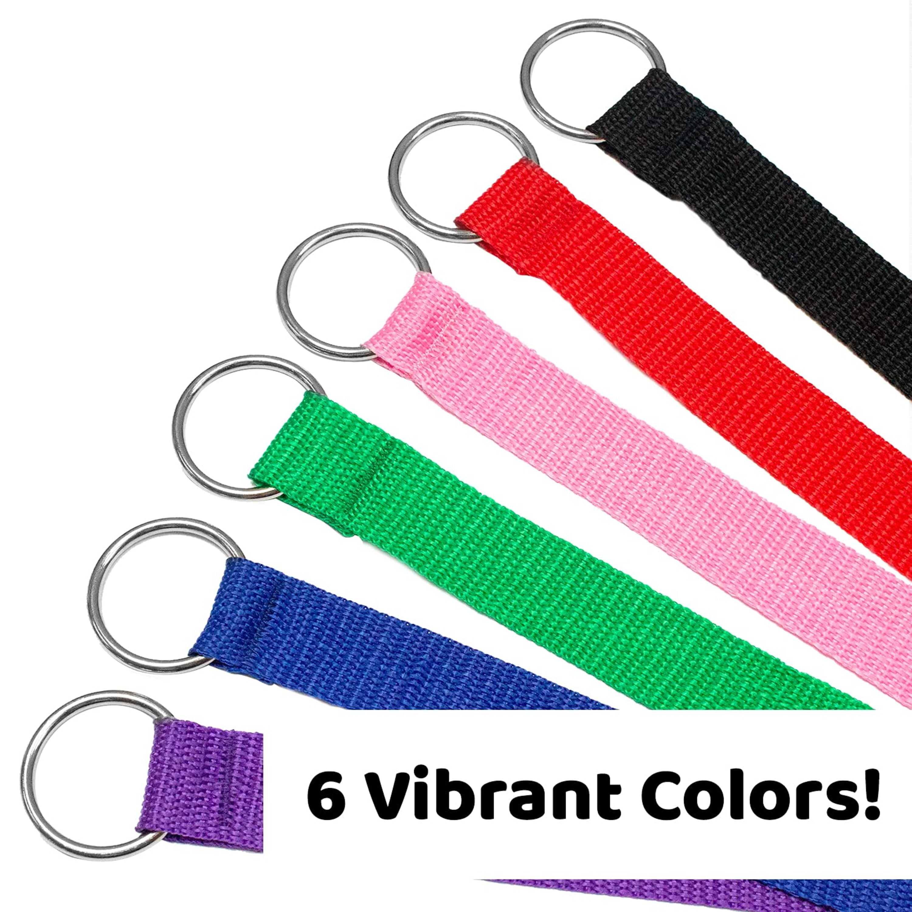Downtown Pet Supply Slip Lead Dog Leash, Universal Slip Leash, O Ring, 12 Pk