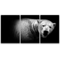 thumbnail image 3 of PixonSign Canvas Print Wall Art Set Pinhole Style Bear Portrait Animals Wildlife Photography Realism Rustic Closeup Relax/Calm Dark Black and White for Living Room, Bedroom, Office - 16"x24"x3, 3 of 5