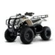 thumbnail image 2 of Cuatrimoto Italika ATV150 ARENA ITALIKA Cuatrimoto, 2 of 6