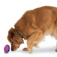 thumbnail image 1 of Dispensador de juguetes para perros PetSafe Busy Buddy Twist 'n Treat grande, 1 of 6