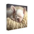 thumbnail image 4 of Stupell Industries Tiny Puppy Sleeping Animals & Insects Painting Gallery Wrapped Canvas Art Print Wall Art, 17 x 17, 4 of 8