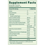 SV Multi 240ct Vegetarian Gummies