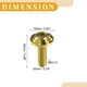 thumbnail image 5 of 1 Juego de Tornillos para Matrícula Antirrobo Universal M6 de 1/4" - Kits de Sujetadores de Seguridad para Marco de Etiqueta de Automóvil con 2 Arandelas - Tonalidad de Aleación de Titanio Dorado, 5 of 7