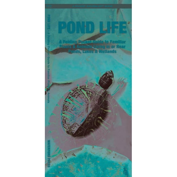 Wildlife and Nature Identification: Pond Life : A Folding Pocket Guide to Familiar Plants & Animals Living in or Near Ponds, Lakes & Wetlands (Edition 2) (Other)