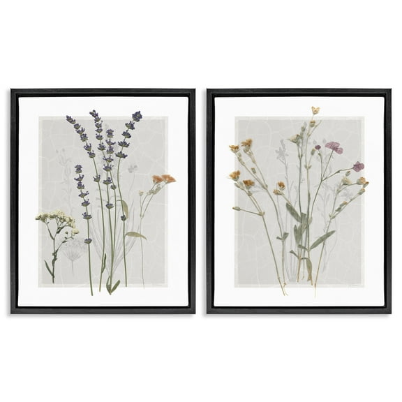 Stupell Industries Delicate Wildflower Herb Sprigs Botanical & Floral Painting Black Floater Framed Canvas Art Print Wall Art, 17 x 21, Set of 2