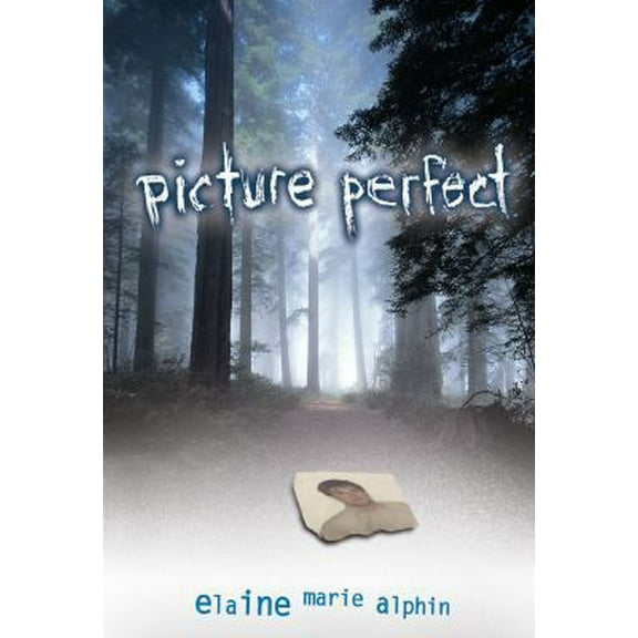 Pre-Owned Picture Perfect (Hardcover) 0822505355 9780822505358