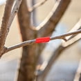 thumbnail image 5 of Troglfold plant tape 10 Rolls of Garden Tie Tapes Convenient Fruit Trees Grafting Tapes Stretchy Tie Tapes Plant Ribbon Tapes,2.76"X2.76"X0.39", 5 of 10