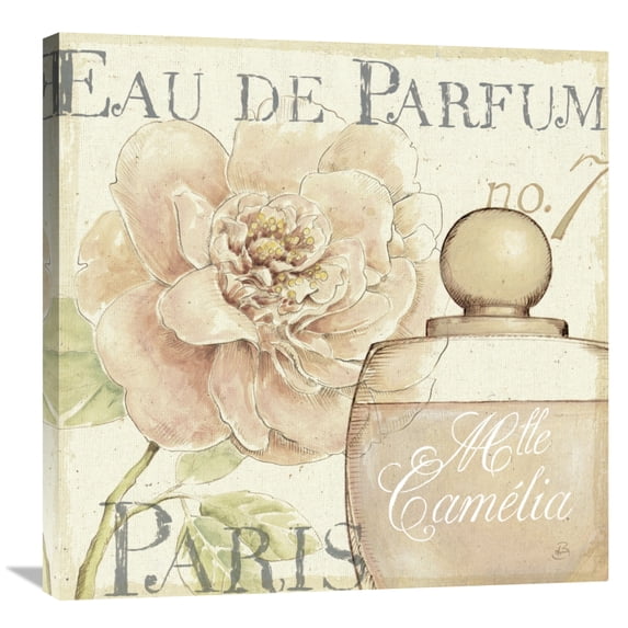 Global Gallery Daphne Brissonnet 'Fleurs and Parfum II' Canvas Wall Art