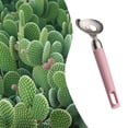 thumbnail image 2 of Cuchara peladora de cactus Función peladora de cactus De acero inoxidable Herramienta peladora y cortadora para cocina Gadget de cocina, 2 of 4
