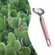 thumbnail image 2 of Cuchara peladora de cactus Función peladora de cactus De acero inoxidable Herramienta peladora y cortadora para cocina Gadget de cocina, 2 of 4