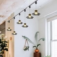 thumbnail image 6 of FSLiving 10W Adjustable Levitate Track Pendant Light H-Type Retractable Lift Track Pendant Light with Remote Control with Dimmable Smart Led Light Adjustable Length for Decor,Smoke Grey - 1 Pack, 6 of 6