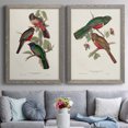 thumbnail image 7 of Elegant Trogons V - Premium Framed Canvas 2 Piece Set - Ready to Hang, 7 of 7