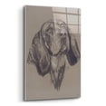 thumbnail image 2 of Epic Art 'Blue Tick Hound' by Barbara Keith, Acrylic Glass Wall Art, 24"x36", 2 of 8