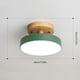 thumbnail image 1 of Accesorio de techo LED de fácil instalación regulable para pasillo (verde) Ndcxsfigh  Para estrenar, 1 of 7
