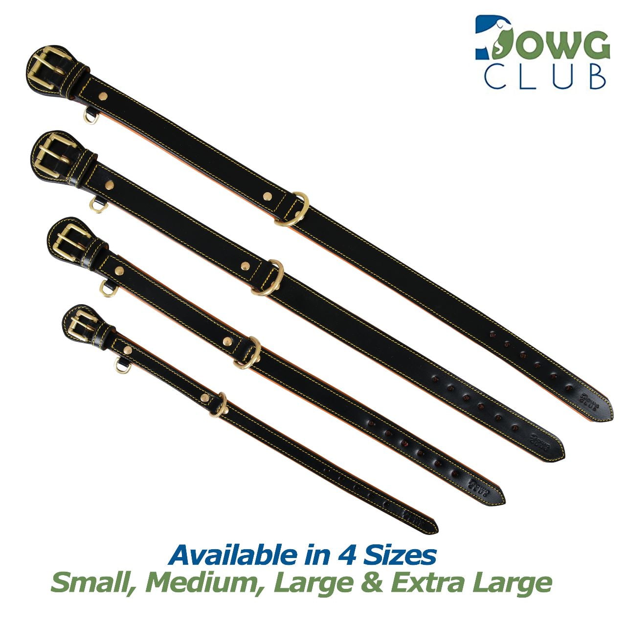 DowgClub Genuine Leather Dog Collar, Padded & Comfortable, Breathable Cushion, Heavy Duty, Handmade, Black (Medium)