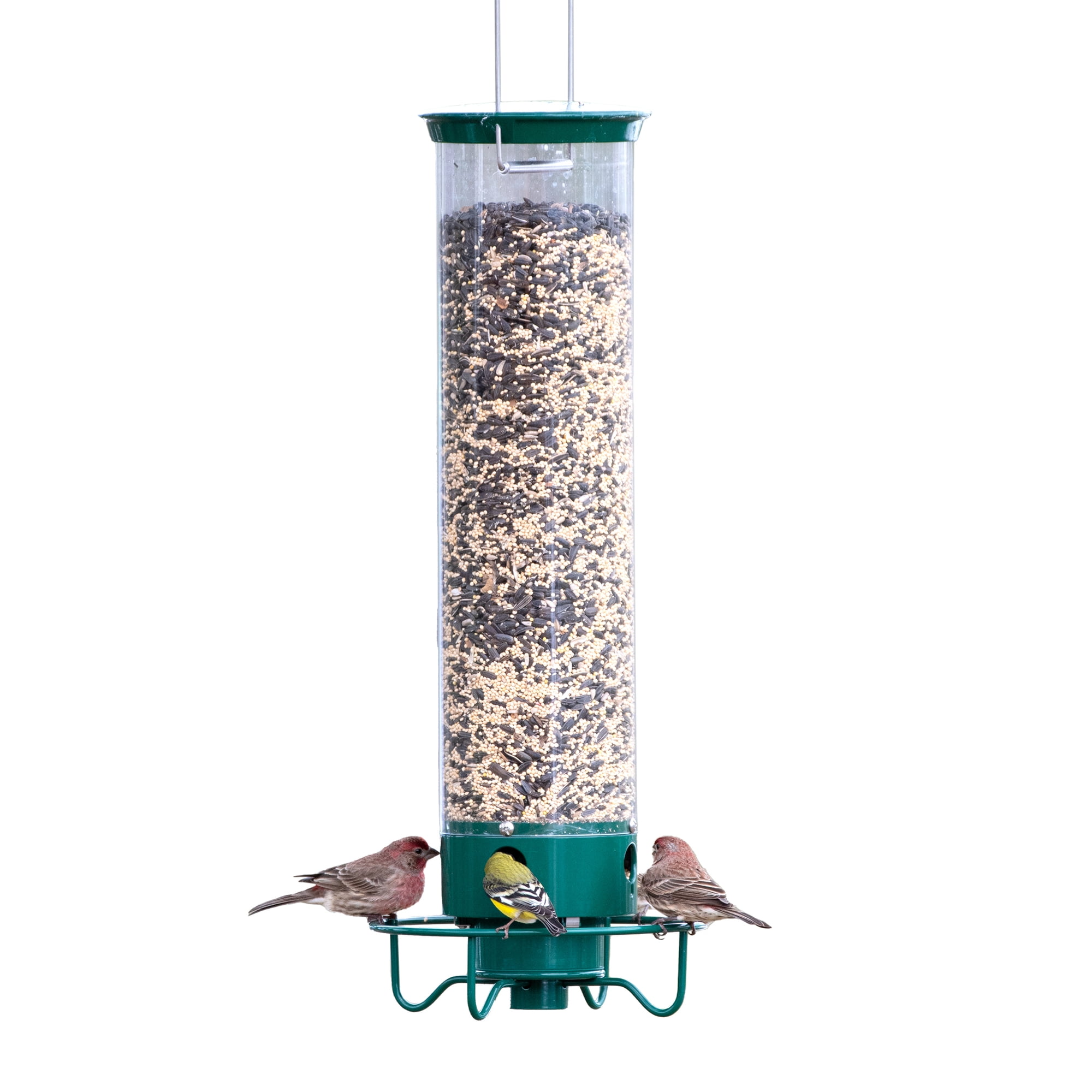 Droll Yankees Squirrel Proof Bird Feeders for Outdoors - YF-M - Flipper, Collapsible Perches, 5-Pound Seed Capacity, Green