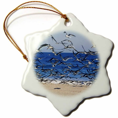 Home Decor Jacksonville Fl 3dRose Sea Gull birds on American Beach, Jacksonville, FL - US10 GJO0229 - Greg Johnston, Snowflake Ornament, Porcelain, 3-inch ()