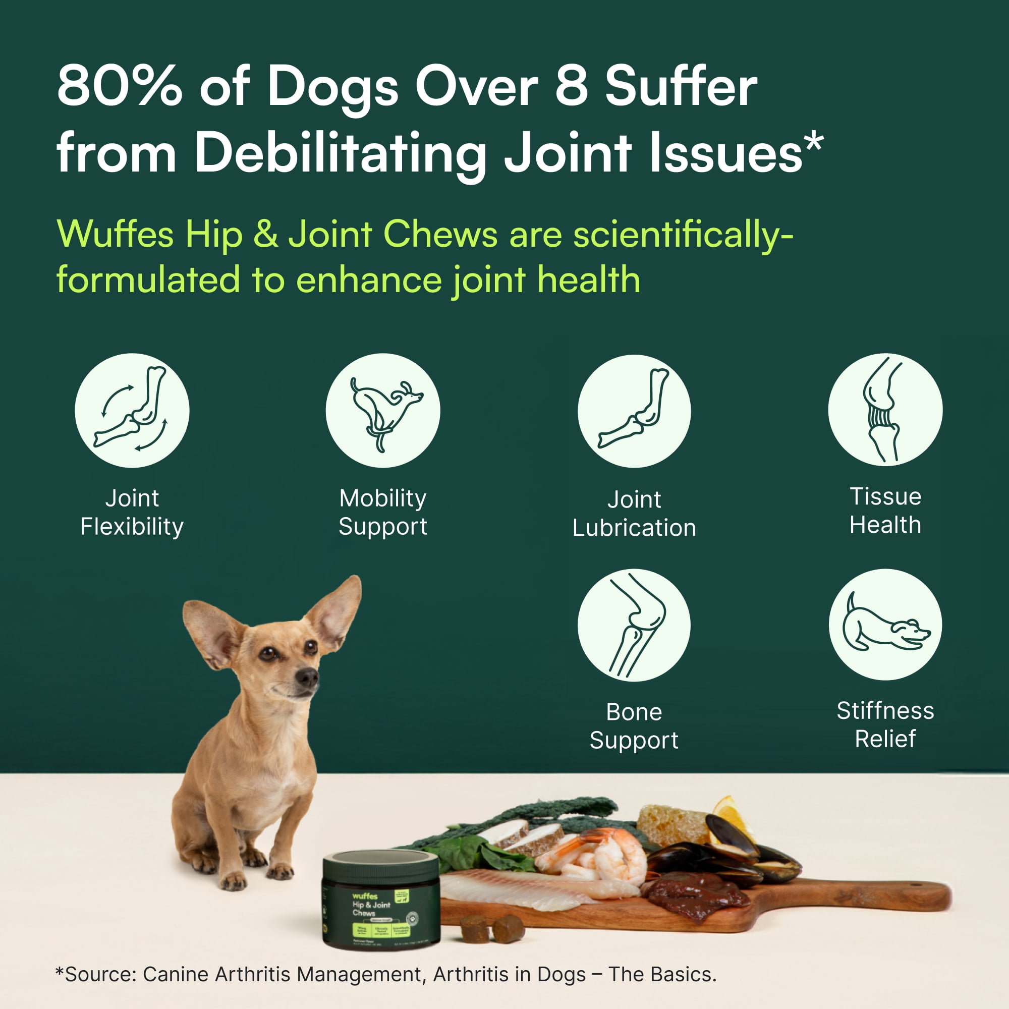Advanced Dog Hip and Joint Supplement with Glucosamine, Chondroitin, Omega 3, MSM, and Green Lipped Mussel, 60 Pork Flavored Chews for Small and Medium Dog Breeds