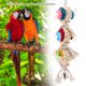 thumbnail image 5 of Juguete para pájaros Bling Bling columpio seguro y duradero, 5 of 10