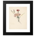 thumbnail image 2 of Albertus Steenbergen 12x14 Black Modern Framed Museum Art Print Titled - Study Sheet with Carnations (1824 - 1900), 2 of 5