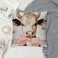 thumbnail image 2 of Qinduosi Who Pillow Covers, 2 of 5
