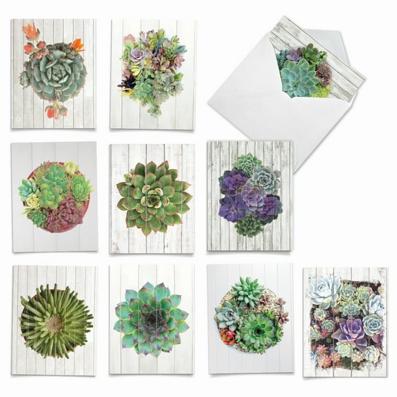 10 Assorted All Occasion Blank Note Cards with Envelopes (4 x 5.12 Inch) - Shiplap Succulents