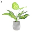 thumbnail image 2 of SPRING PARK Artificial Green Lucky Turtle leaf Decorative Home Garden Outdoor Plant Tree Pot, 2 of 7