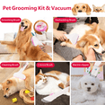 thumbnail image 6 of Garvee Dog Grooming Vacuum Kit, 11Kpa Suction Power 2L Large Capacity Hair Storage, 5 Professional Pet Grooming Tools for Dogs Cats, 6 of 7