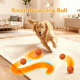 Dog ball: Interactive dog ball, automatically rolling and bouncing self ...
