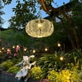 thumbnail image 4 of Allsop Home & Garden Soji Stella Nova Starbeam - Evergreen, 4 of 5