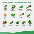 thumbnail image 4 of 25 Winter Vegetable & Herb Garden Seed Variety Pack - 22,845+ Non-GMO Heirloom Seeds for Gardening, 4 of 7