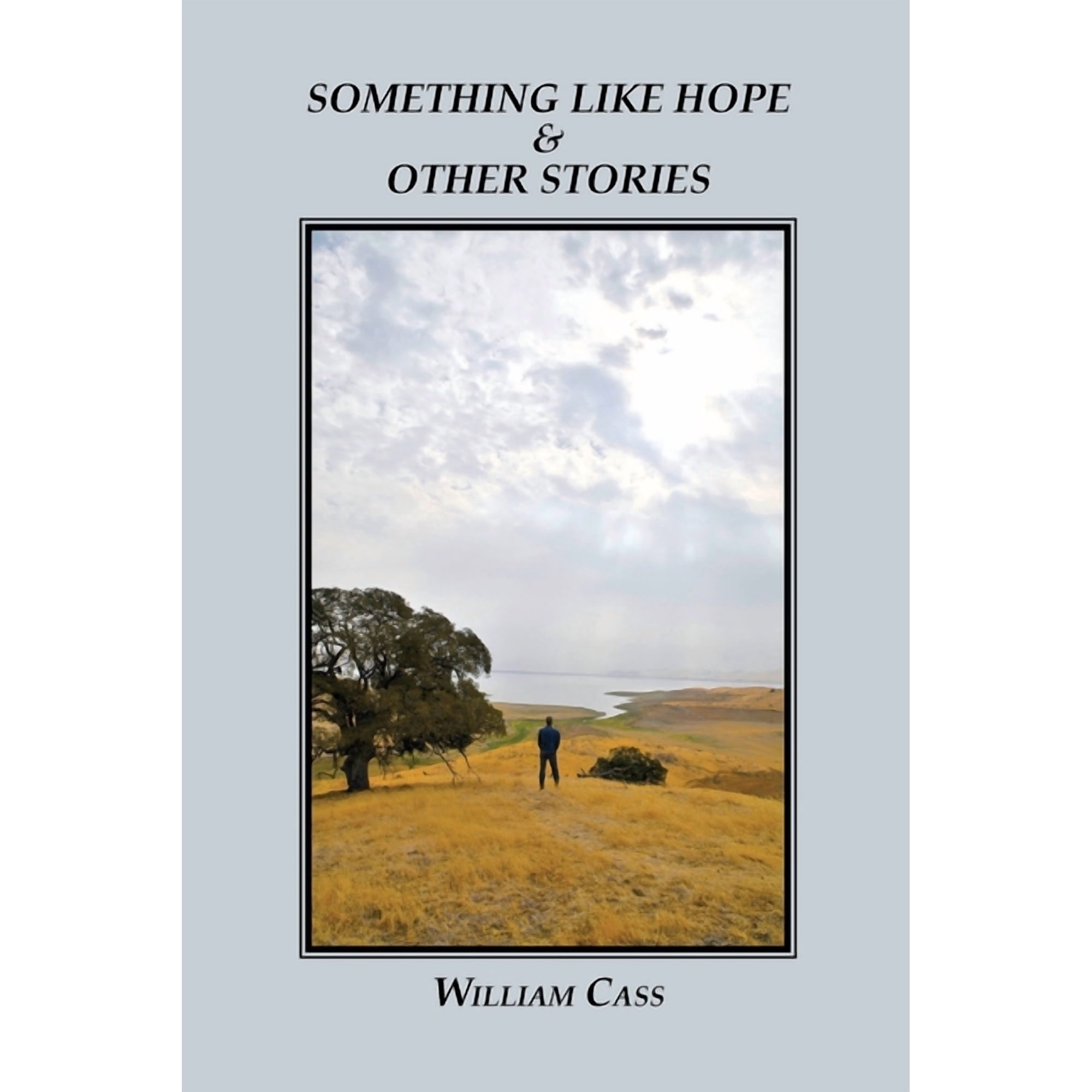 Something Like Hope & Other Stories (Paperback)