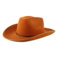 thumbnail image 2 of Halloween Classic Western Wide Brim Felt Cowboy Hat, Halloween Costume Accessory, Versatile Headwear for Western Themed Party, Role Play and Festive Gathering Light Brown, 2 of 8