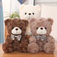 thumbnail image 2 of 25cm Cute Cartoon Little Teddy Bear Plush Toys Stuffed Soft Animals Dressing up Doll For Girls Kids Nice Surprise Birthday Gifts525cm Deng Xun unisex, 2 of 2