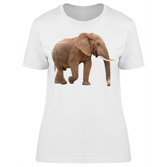 African Elephant Reddish T-Shirt Women -Image by Shutterstock, Female Medium