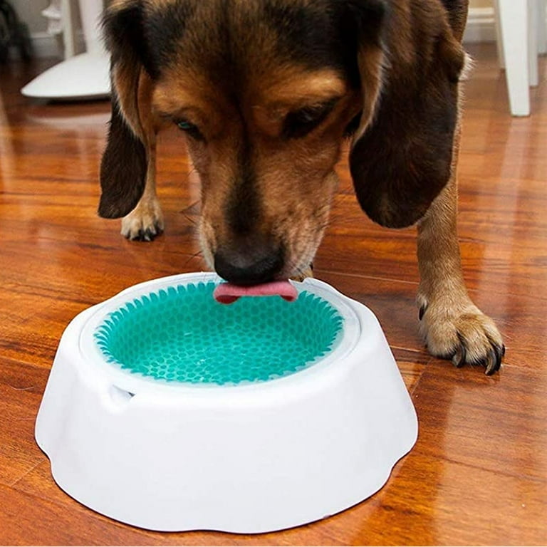 Frosty bowl pet water bowl sales