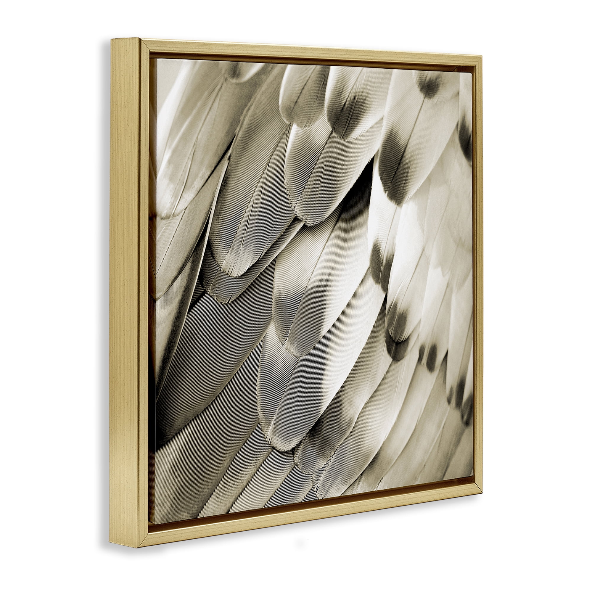 Stupell Industries Sleek Feathers Close Up Animals Painting Gold Floater Framed Canvas Art Print Wall Art, 18 x 18
