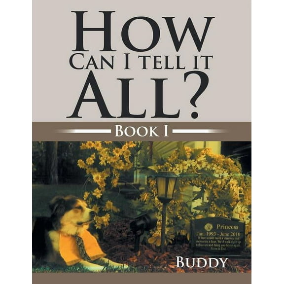 How Can I Tell It All?: Book I, (Paperback)