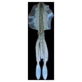 thumbnail image 3 of Kayannuo Squidy Soft Bait Octopus Skirt Soft Plastic Bait Trolling Fishing Bait Tackle, 3 of 3