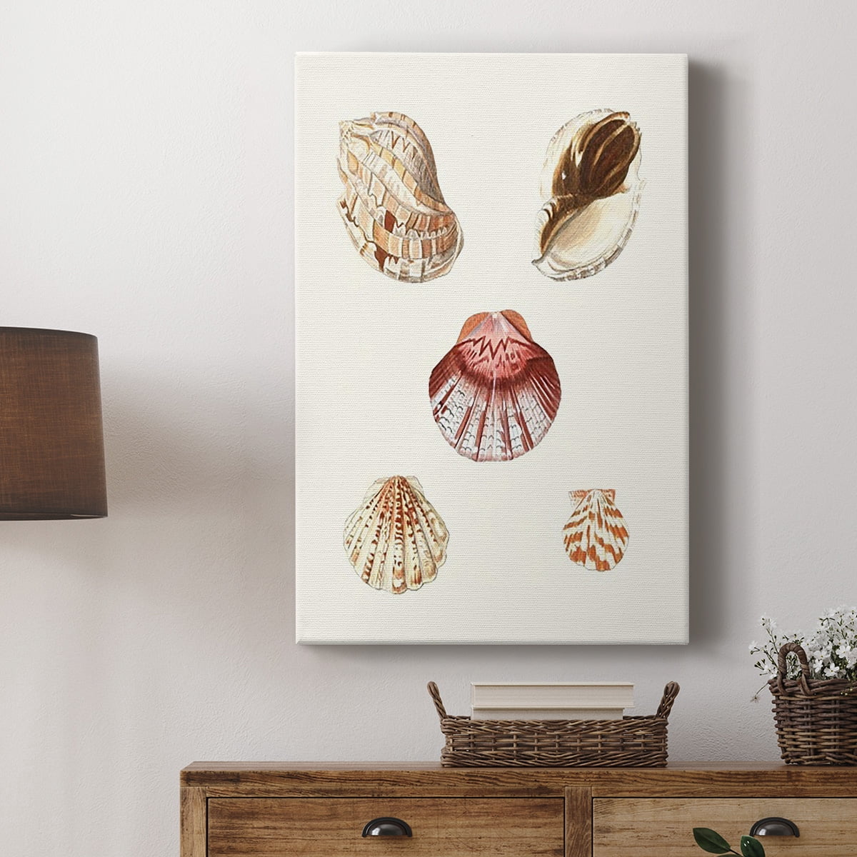 Pastel Knorr Shells V Premium Gallery Wrapped Canvas - Ready to Hang
