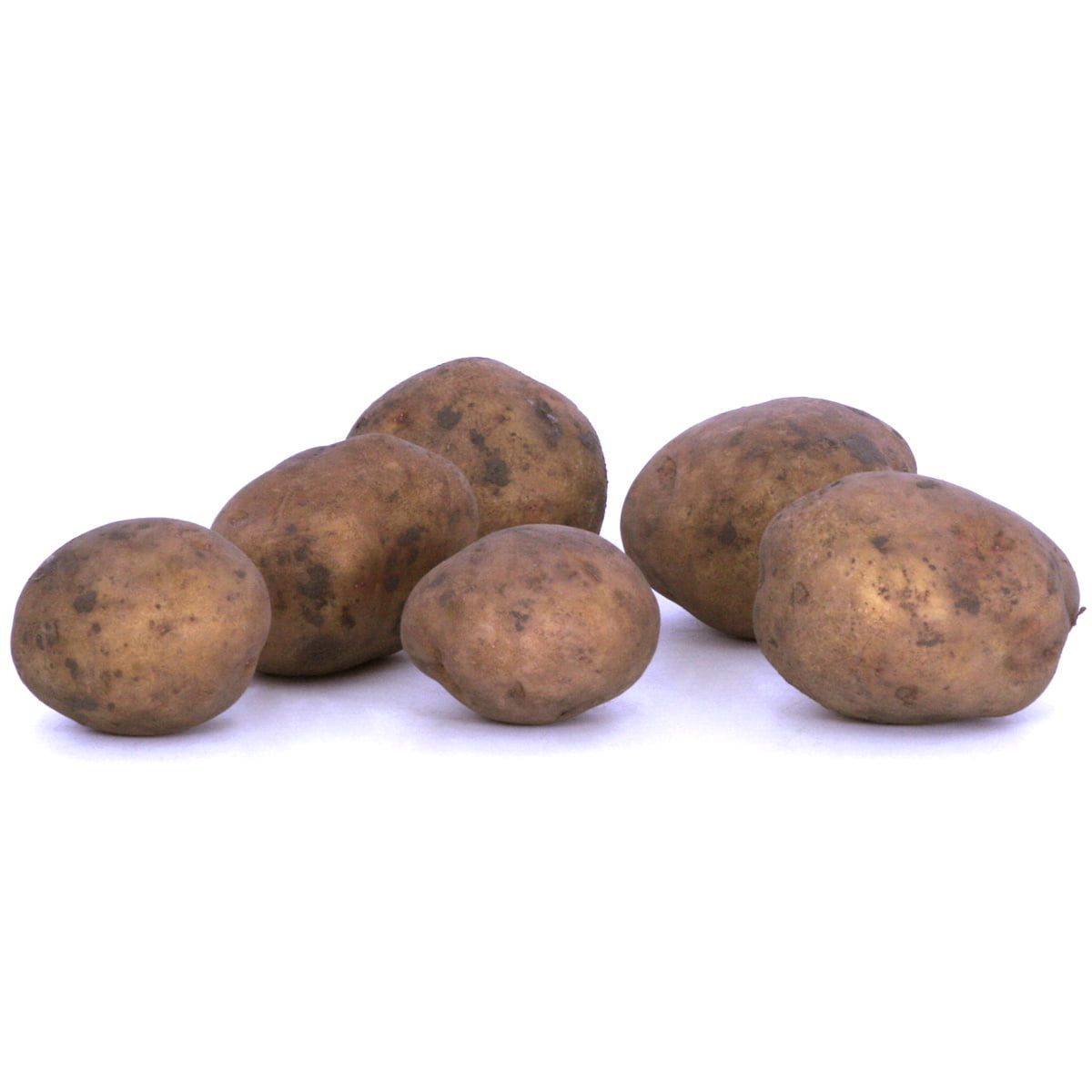Van Zyverden Potatoes Yukon Gold Set of 12 Bulbs Pink Full Sun